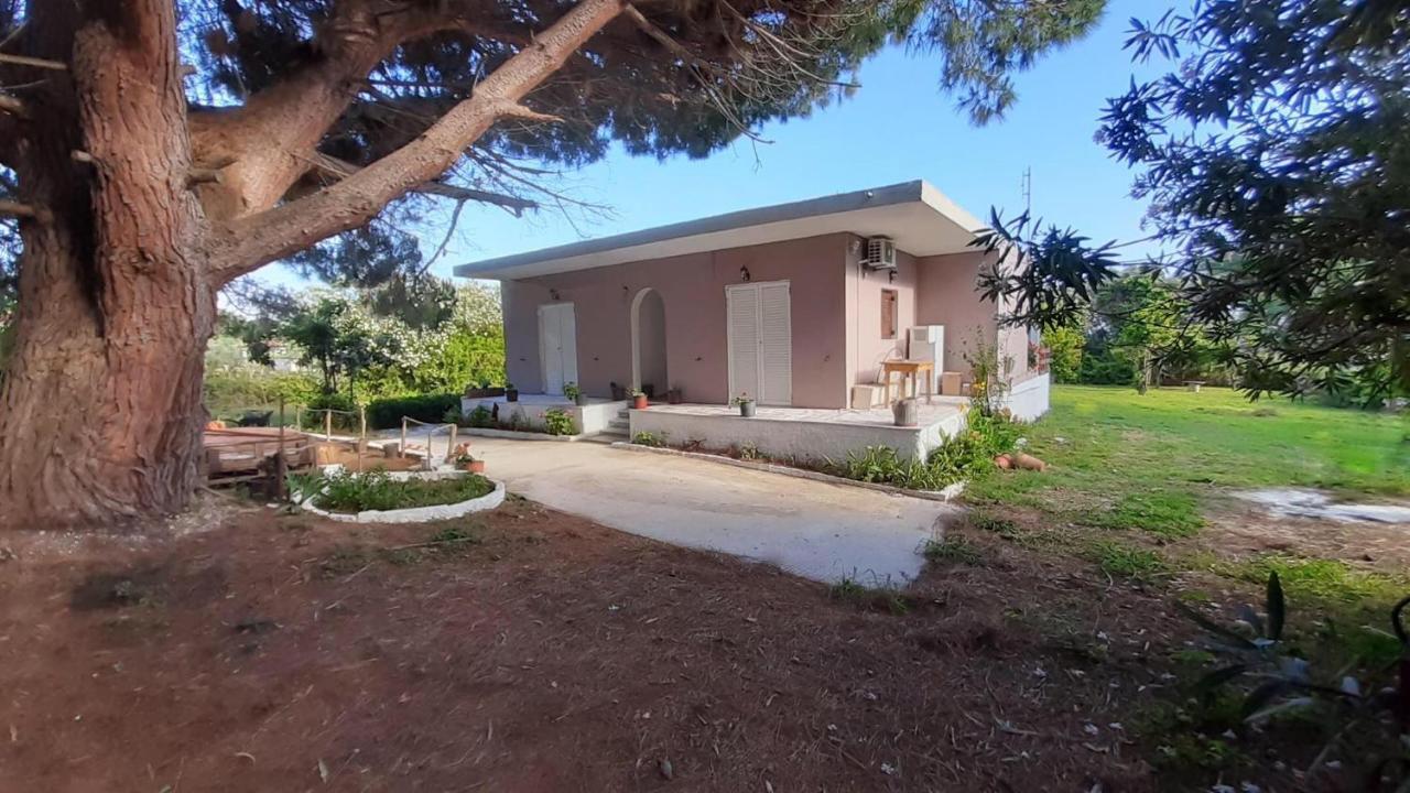 Villa House