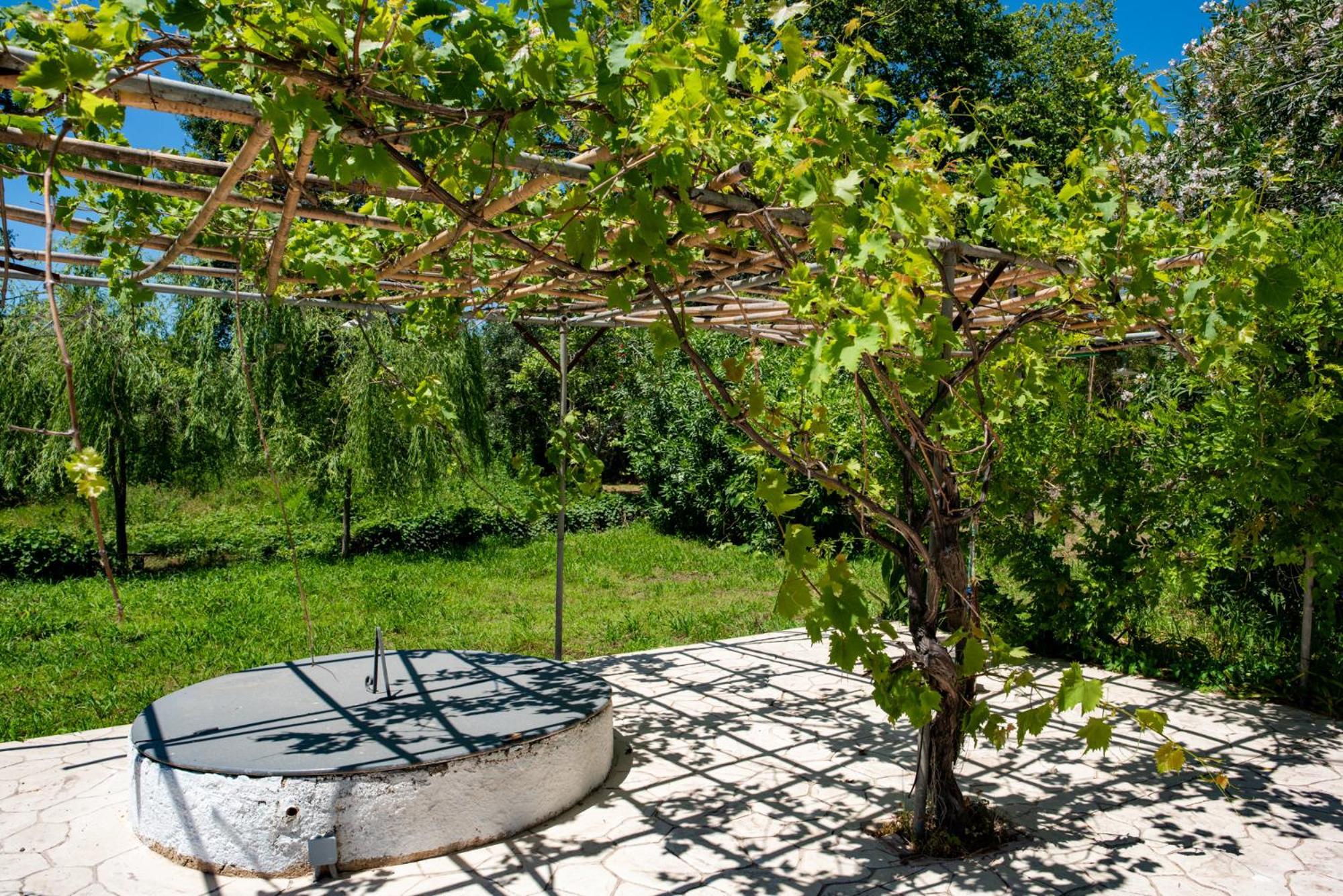 House Villa